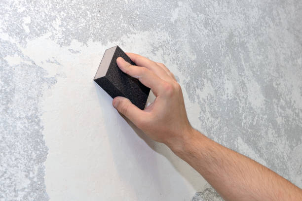 Best Air Quality Testing for Mold Spores  in Polk City, IA