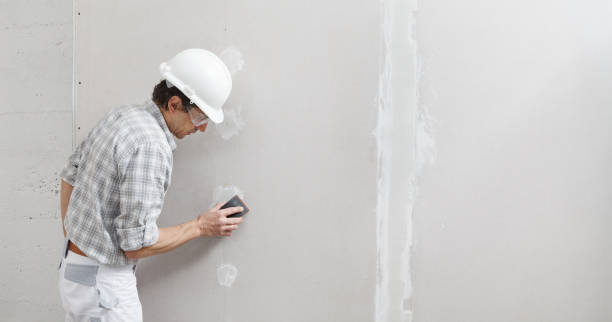 Best Emergency Mold Remediation  in Polk City, IA