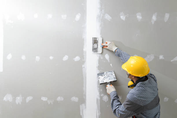 Best Mold Damage Restoration  in Polk City, IA