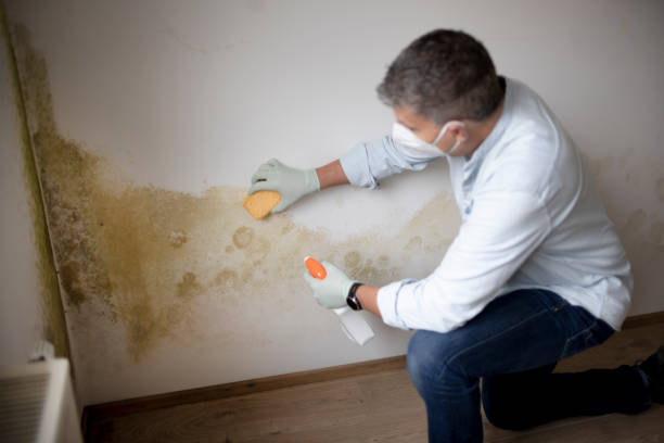 Best Forensic Mold Investigation  in Polk City, IA
