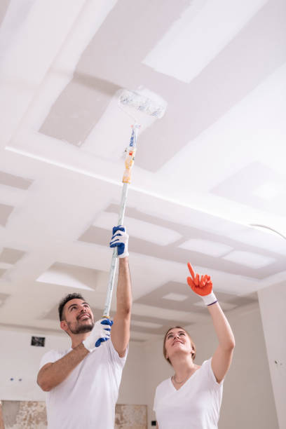 Best Environmental Consulting for Mold Prevention  in Polk City, IA