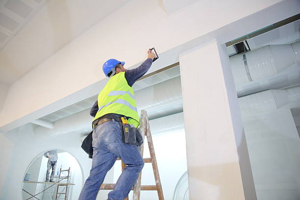 Polk City, IA Mold Removal Company