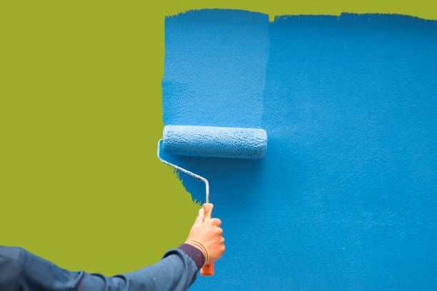 Best Basement Mold Removal  in Polk City, IA