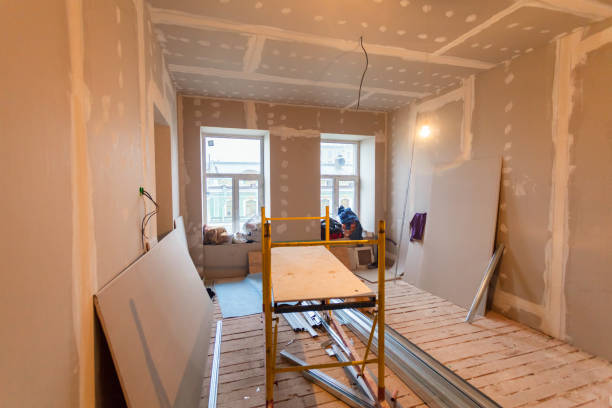 Best Black Mold Removal  in Polk City, IA